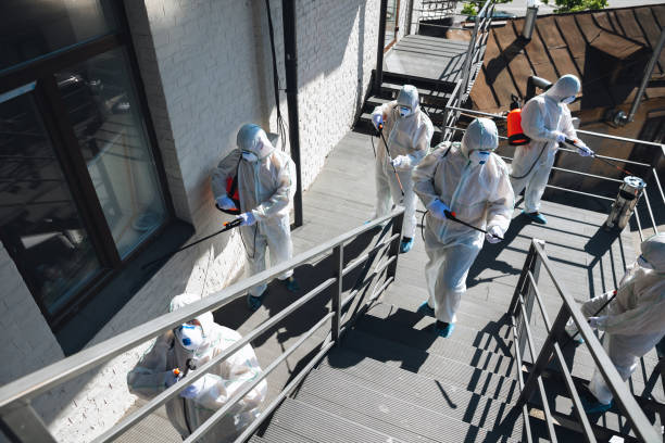 Best Forensic Mold Investigation  in Rock Rapids, IA