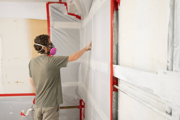 Best Basement Mold Removal  in Rock Rapids, IA