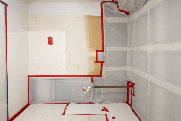 Best Indoor Air Quality Assessment  in Rock Rapids, IA