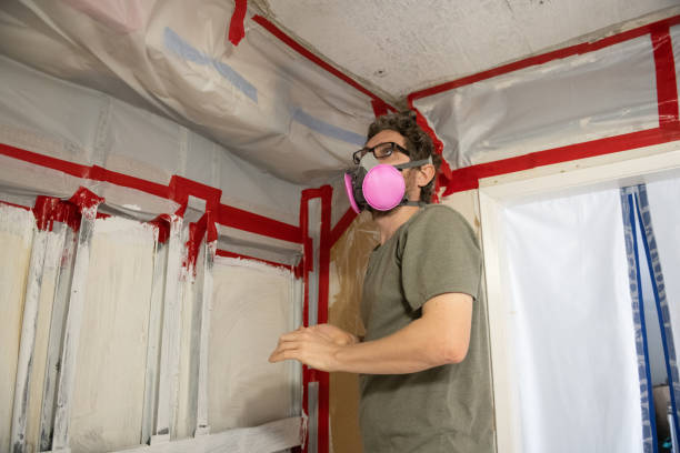 Best Forensic Mold Investigation  in Rock Rapids, IA