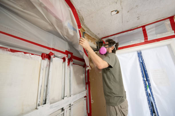 Mold Removal for HVAC Installations in Rock Rapids, IA