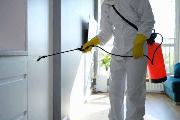 Best Mold Removal for HVAC Installations  in Rock Rapids, IA
