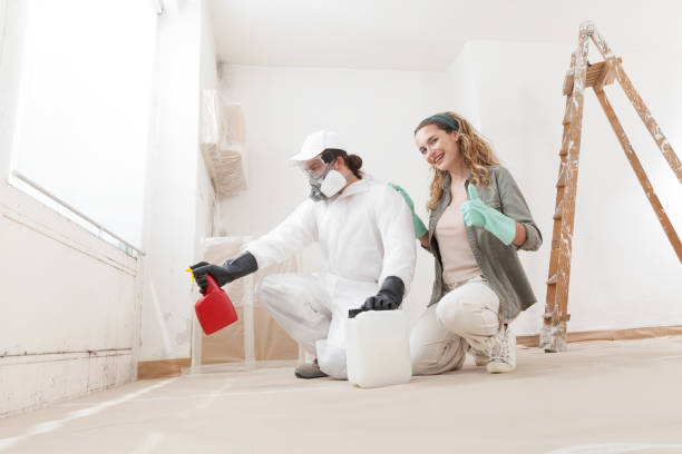 Best Comprehensive Air Testing for Mold Contaminants  in Rock Rapids, IA