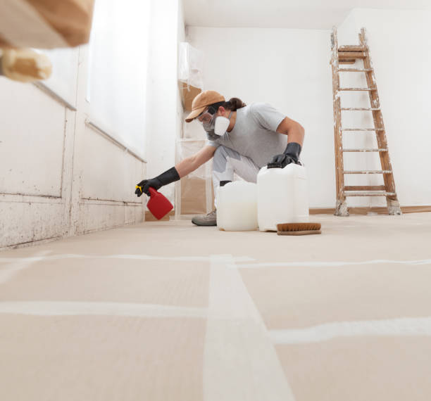 Best Mold Documentation for Insurance Claims  in Rock Rapids, IA